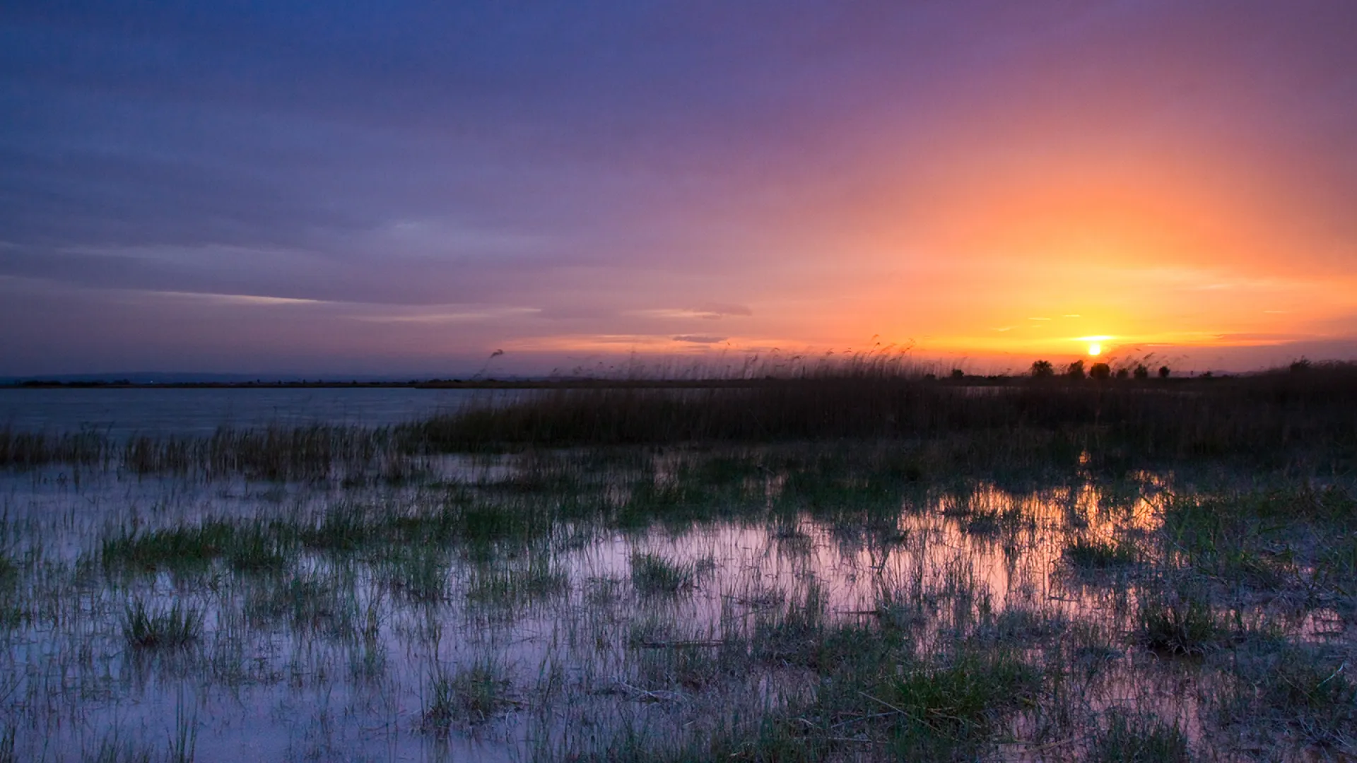 Lange Lacke bei Sonnenuntergang