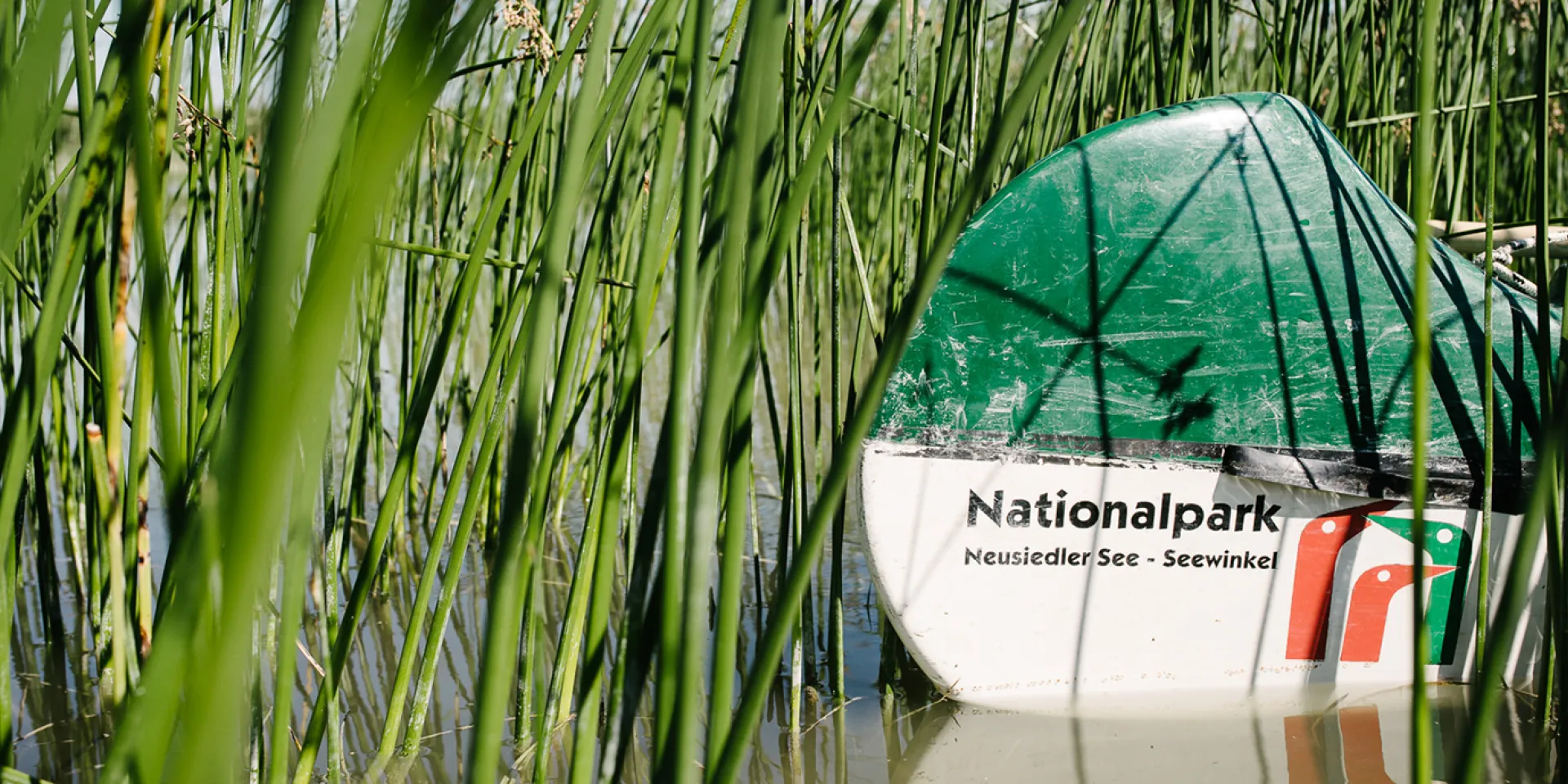 Nationalpark Neusiedler See - Seewinkel Kanu im Schilf