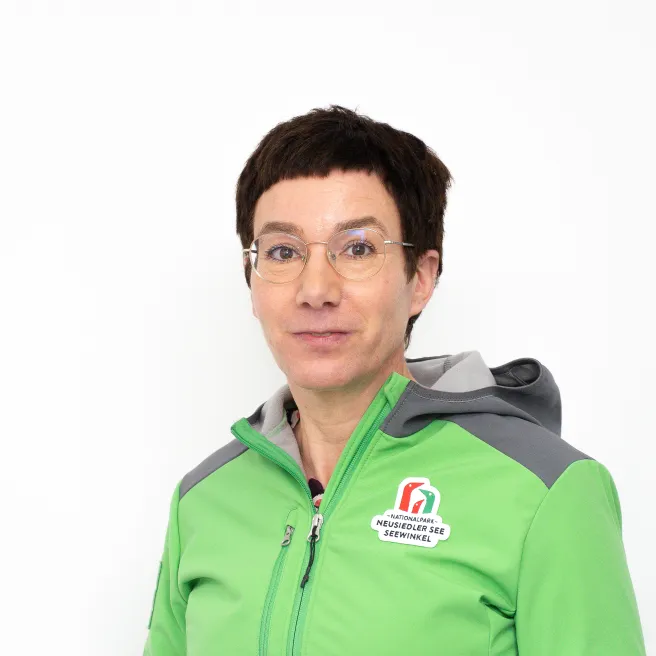 Porträt Verena Beck