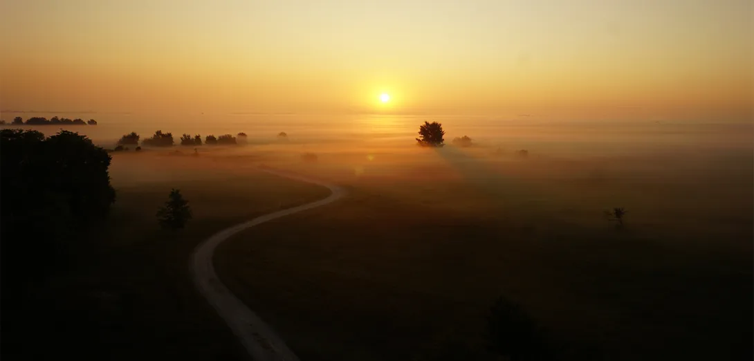 Sonnenaufgang über dem Seewinkel