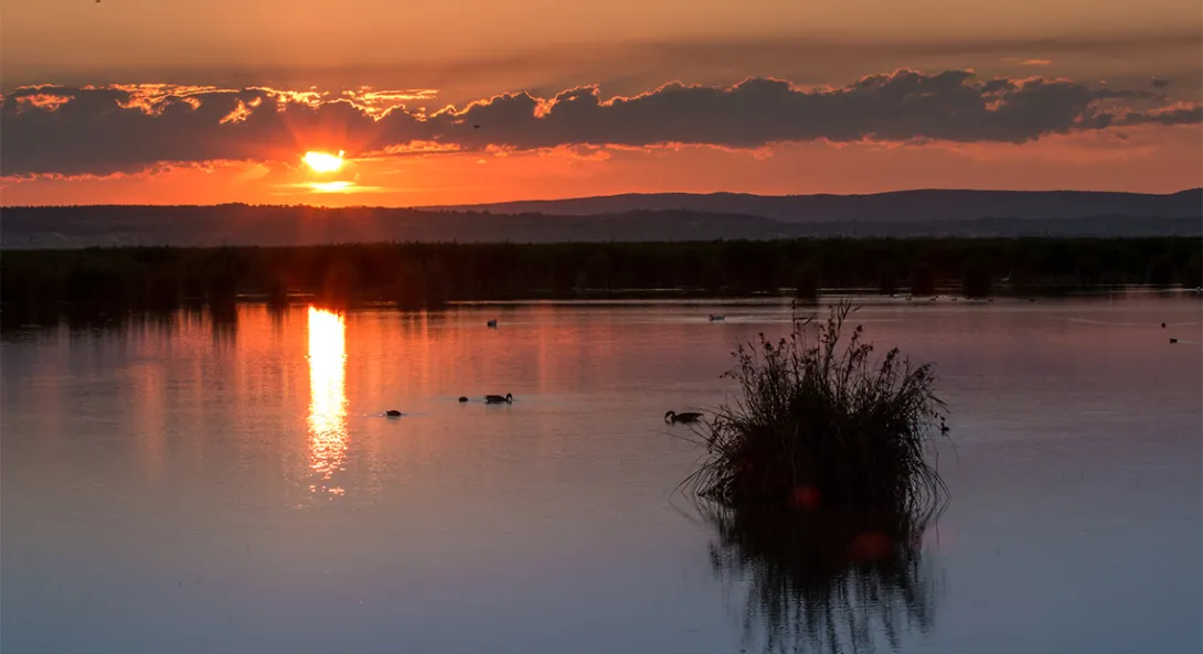 Blick von Seekoppel auf den Abendlichen See