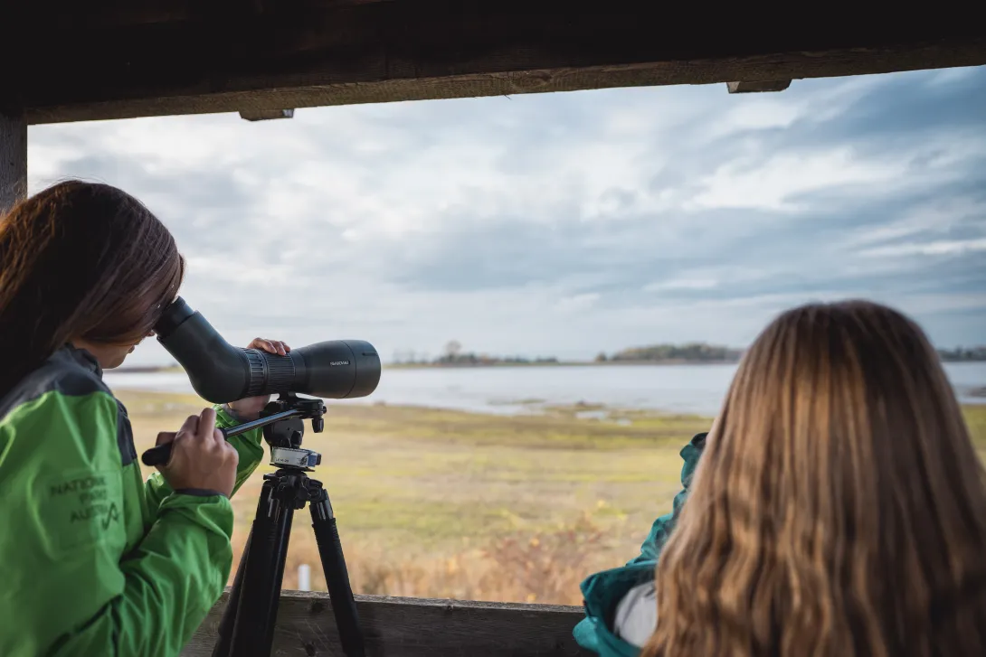 Beobachtung durchs Spektiv